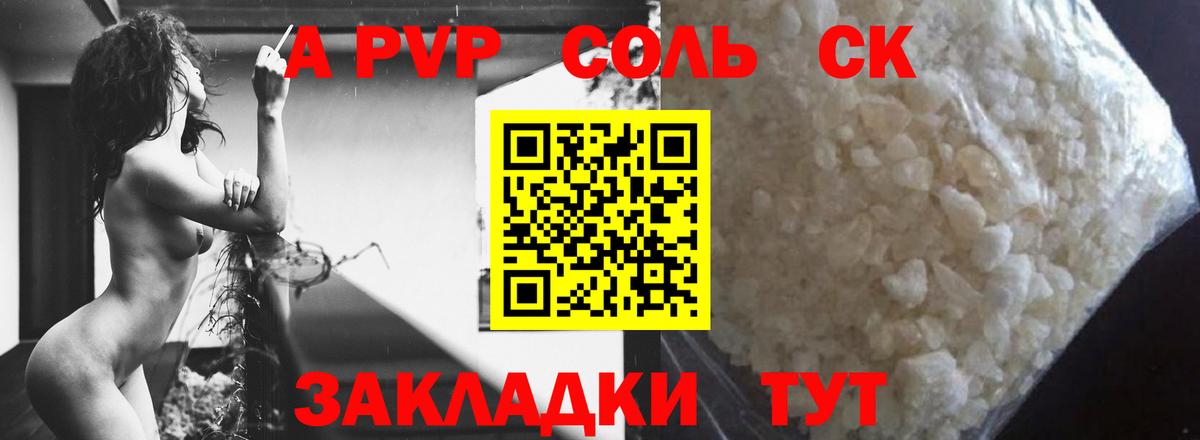 A PVP СК КРИС Вольск