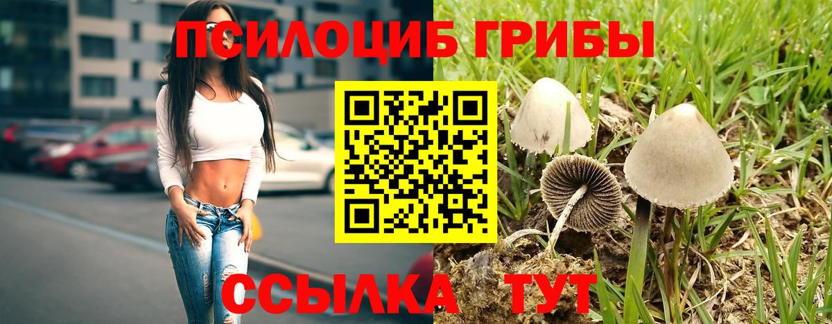 Псилоцибиновые грибы мицелий  Вход с VPN  Вольск 